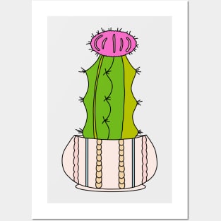 Cute Cactus Design #134: Cute Hybrid Cactus In A Cable-Knit Patterned Pot Posters and Art